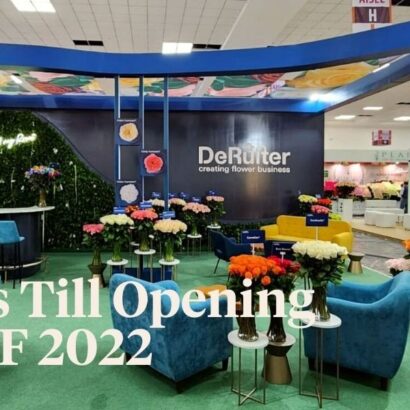 «IFTF 2022 Will Be One of the Best Fairs in Decades» Thursd